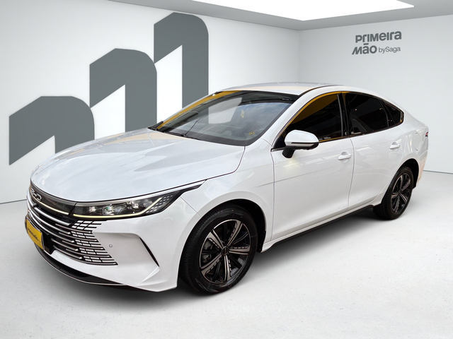 BYD King 2025
